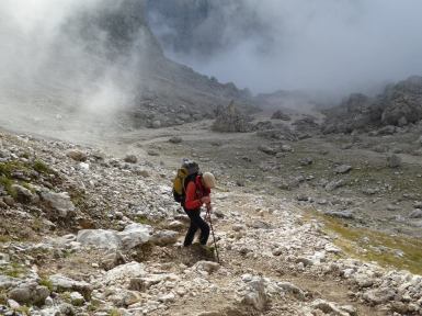 1934588_878258005626359_4429569401074748070_n